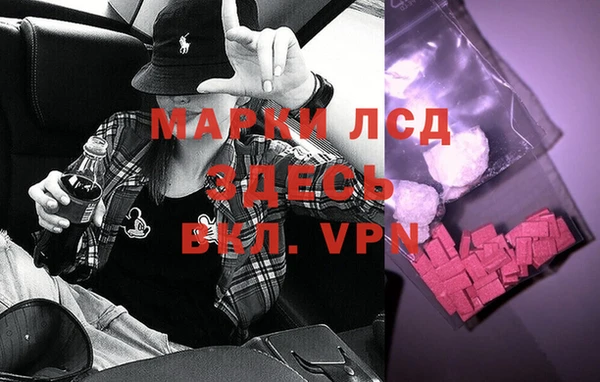 a pvp Инта