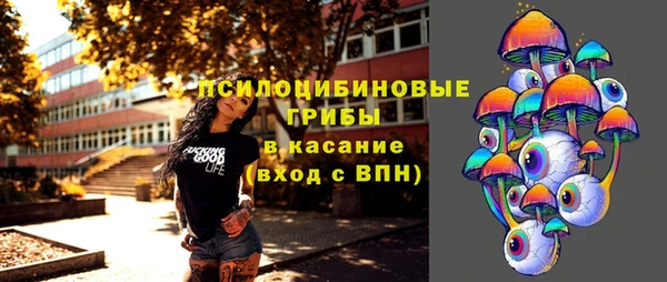 a pvp Инта
