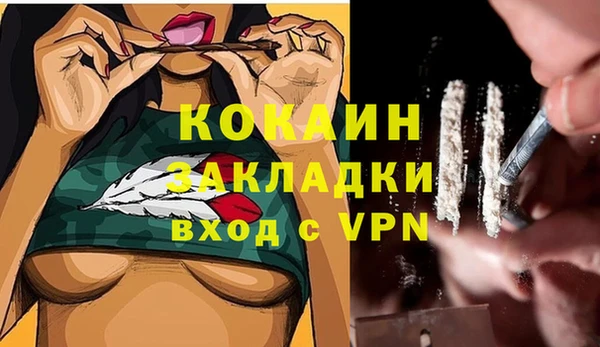 a pvp Инта