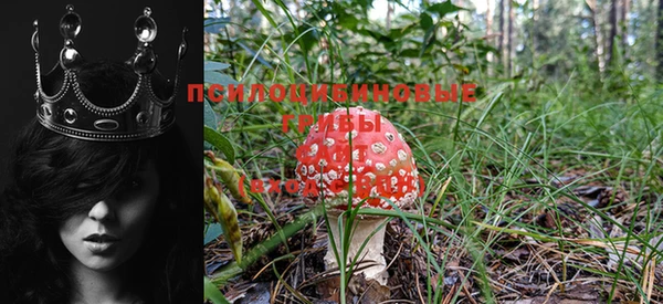 мдма Иннополис