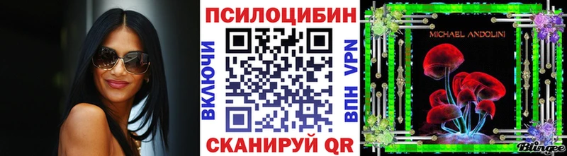 Купить где  Козельск  Галлюциногенные грибы Psilocybe 